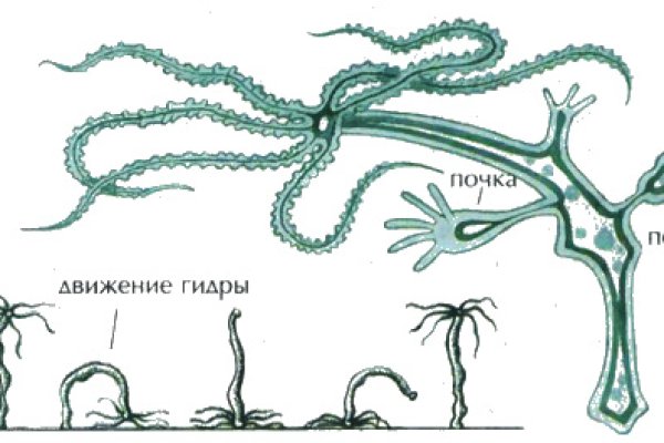 Как попасть на сайт кракен